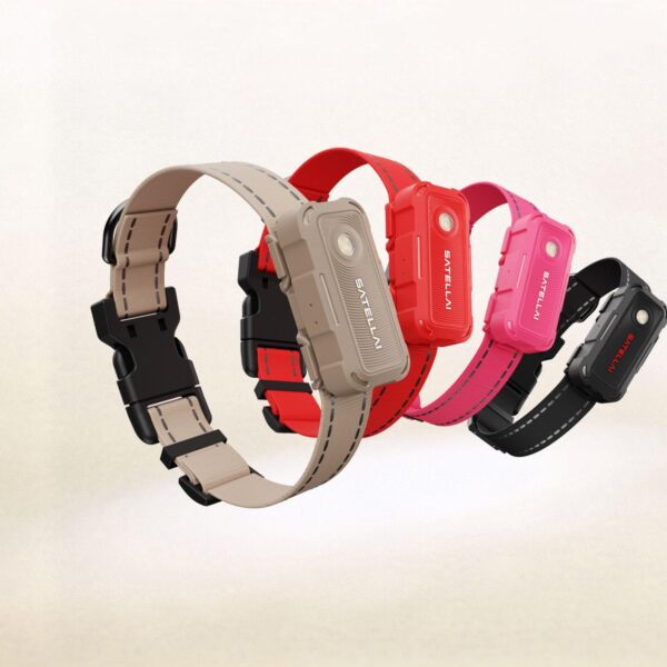 SATELLAI Collar Go Smart GPS Dog Collar with Live Tracking & Health Monitoring