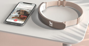 Traini Raises $7.5 Million to Build Pet Emotional Intelligence
