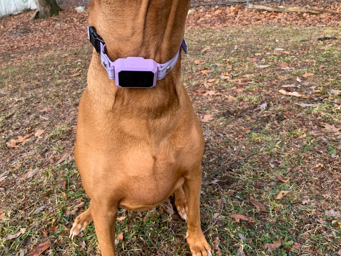 PawTronic Pro Series 2 GPS Dog Fence Review