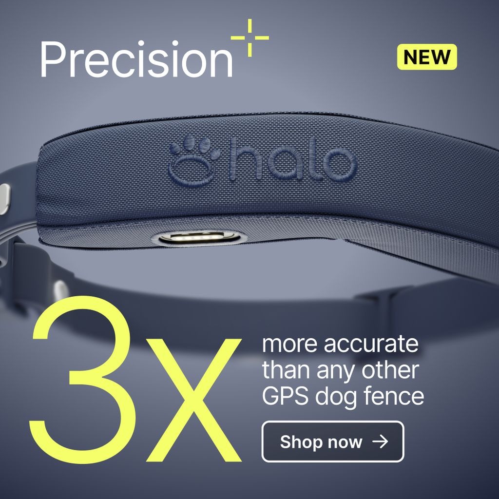 Halo Collar 5 GPS Wireless Dog Fence