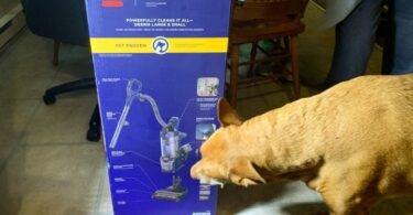 Bissell Pet Hair Eraser DualBrush Upright Vacuum Review