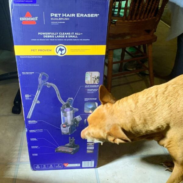 Bissell Pet Hair Eraser DualBrush Upright Vacuum Review
