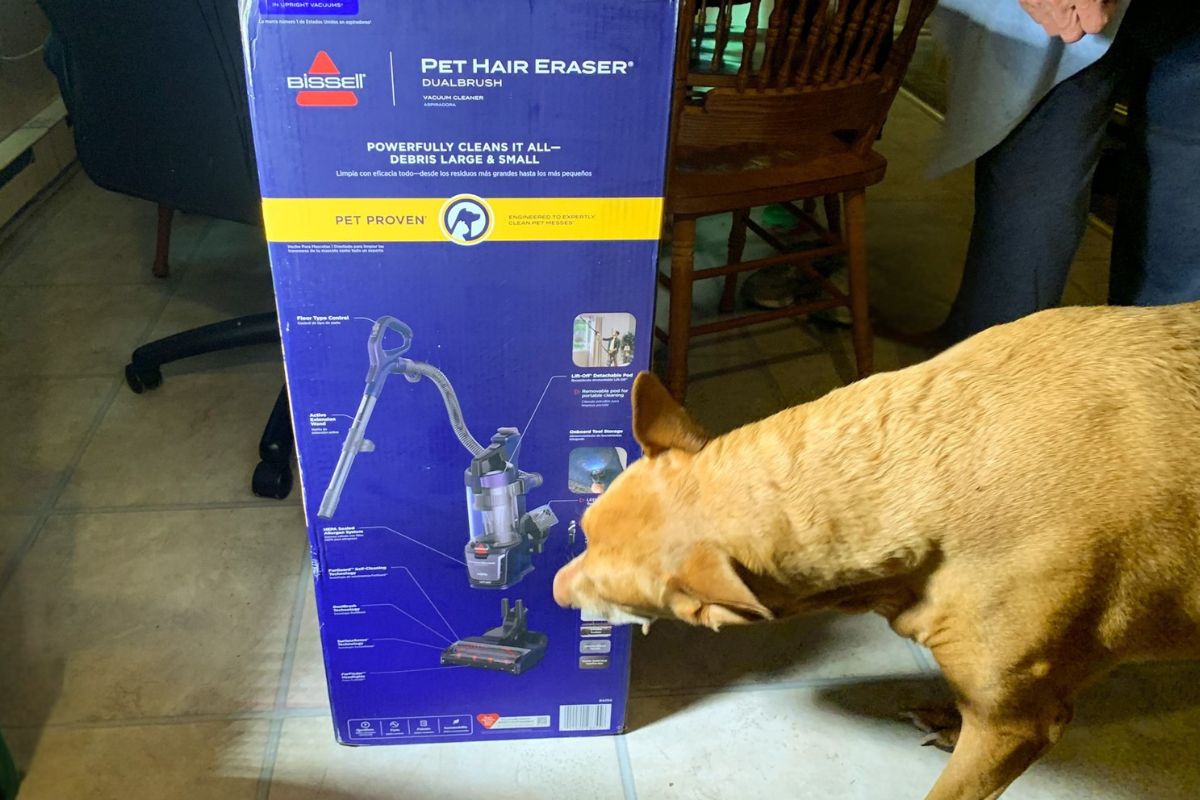 Bissell Pet Hair Eraser DualBrush Upright Vacuum Review