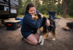 What to Do if Your Dog Gets Lost While Traveling