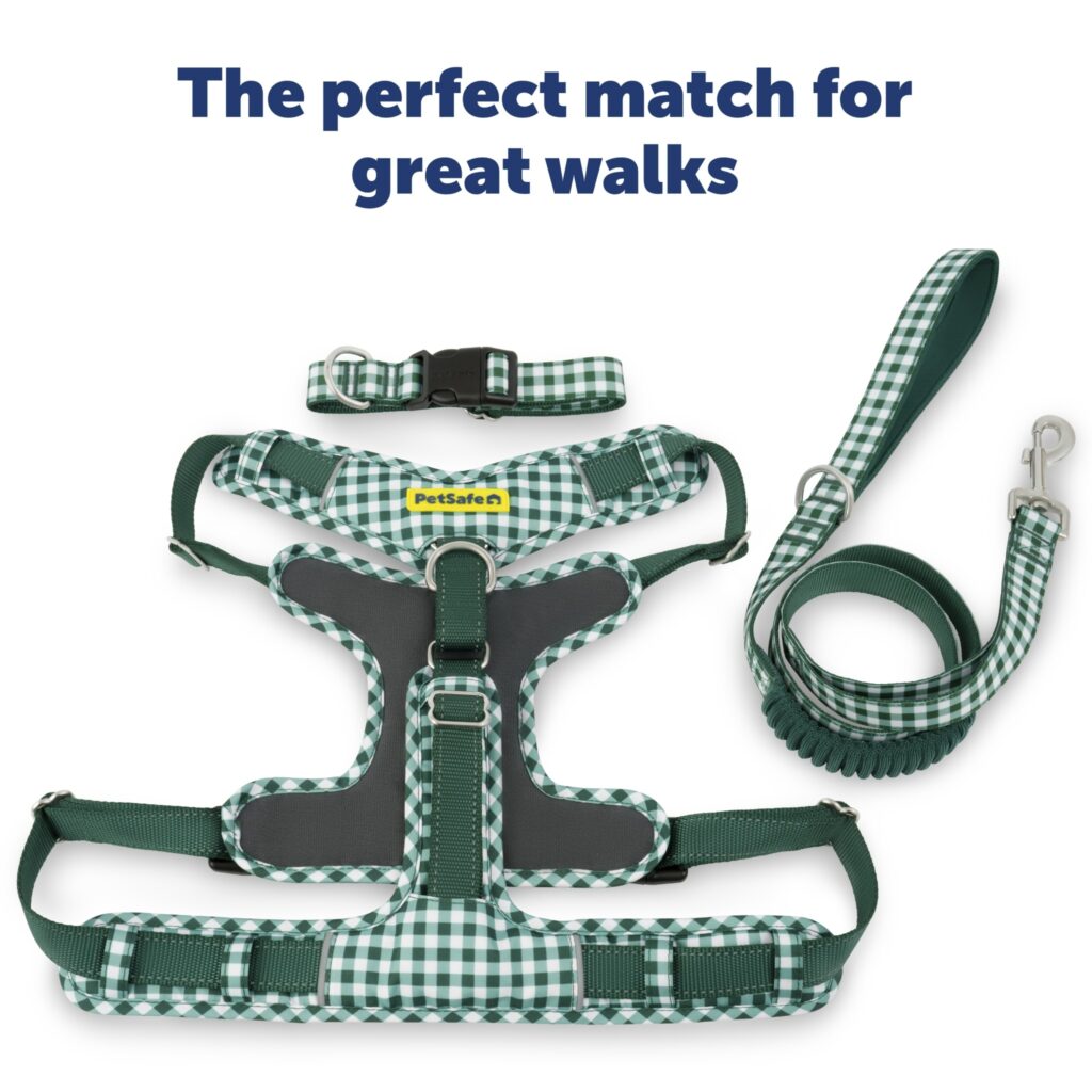 Walk-Ready Gingham Set