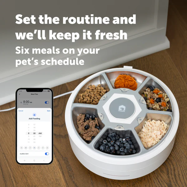 PetSafe FreshFeed Refrigerated Pet Feeder
