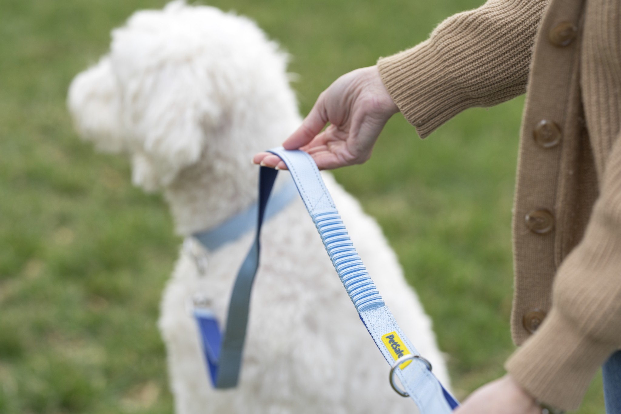 PetSafe Comfort 4-ft Bungee Leash