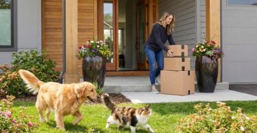 The Best Prime Day Pet Deals We've Found So Far