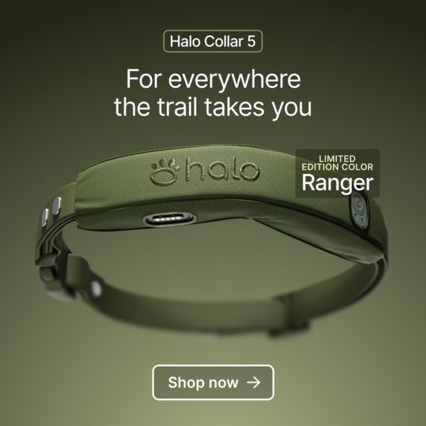 Halo Collar 5 Gets a New Limited Edition Color Called Ranger
