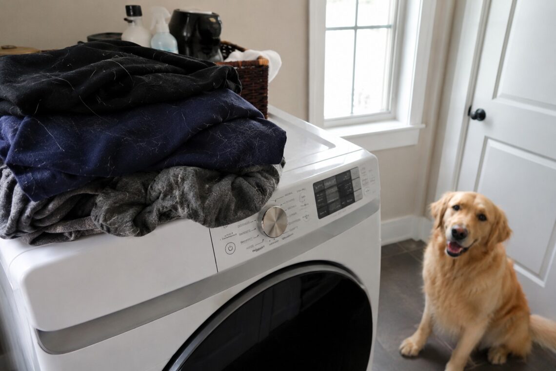 How to Remove Dog Hair from Clothes (Without Losing Your Mind)