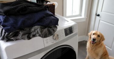 How to Remove Dog Hair from Clothes (Without Losing Your Mind)