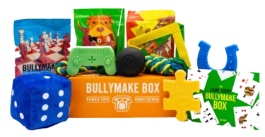 BULLYMAKE Dog Subscription Box July 2026 items