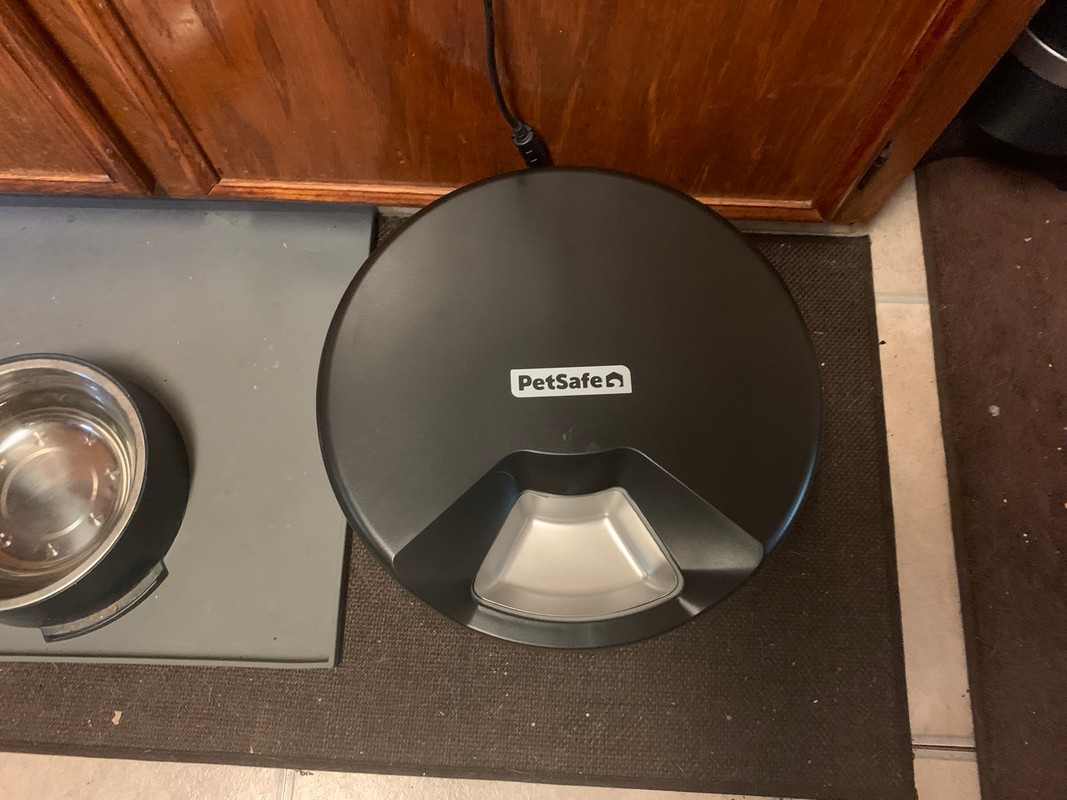 PetSafe FreshFeed Refrigerated Feeder Review_10