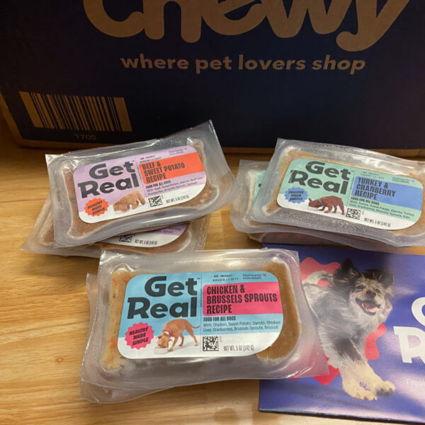 Get Real by Chewy Dog Food Review: Freya Puts Chewy’s Fresh Food to the Test