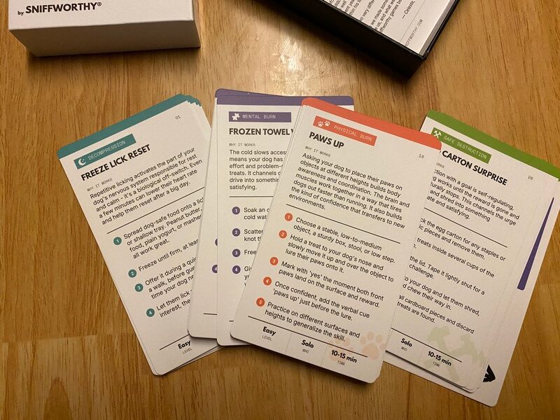 Your Dog Is Bored | 32 Activity Cards for Bored Dogs | Sniffworthy