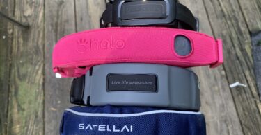 best gps dog fence collars
