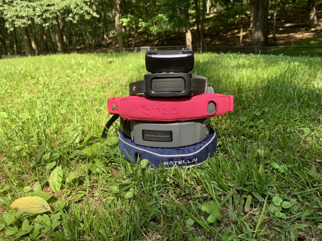 Best GPS dog fences